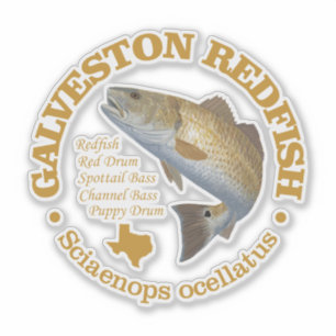 Galveston (redfish)