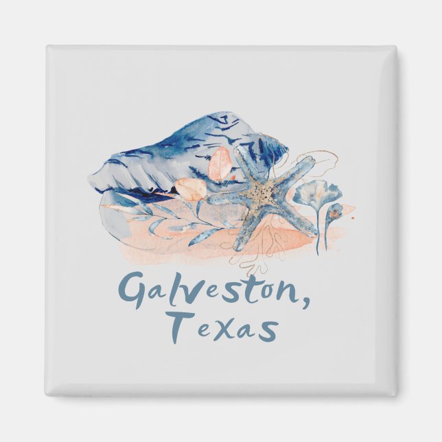 Galveston Texas Seashells Magnet (Front)