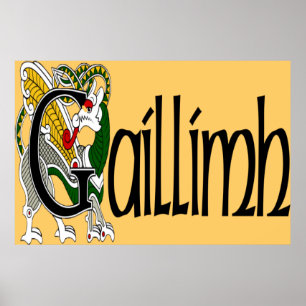 Galway (Gaelic) Poster Print
