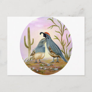 Gambel Quails Postcard