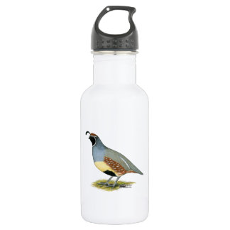 Gambel's Desert Quail 532 Ml Water Bottle