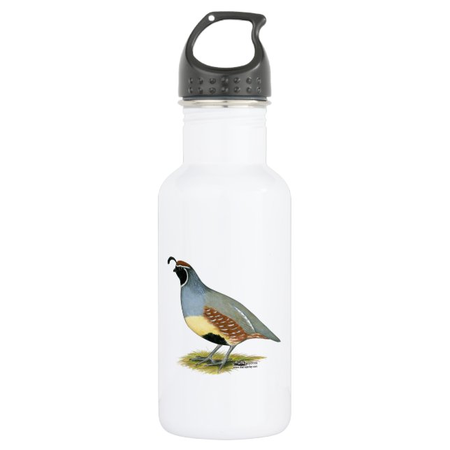 Gambel's Desert Quail 532 Ml Water Bottle (Front)