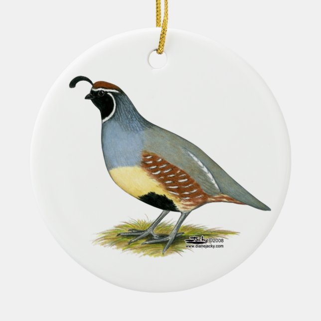 Gambel's Desert Quail Ceramic Tree Decoration (Front)