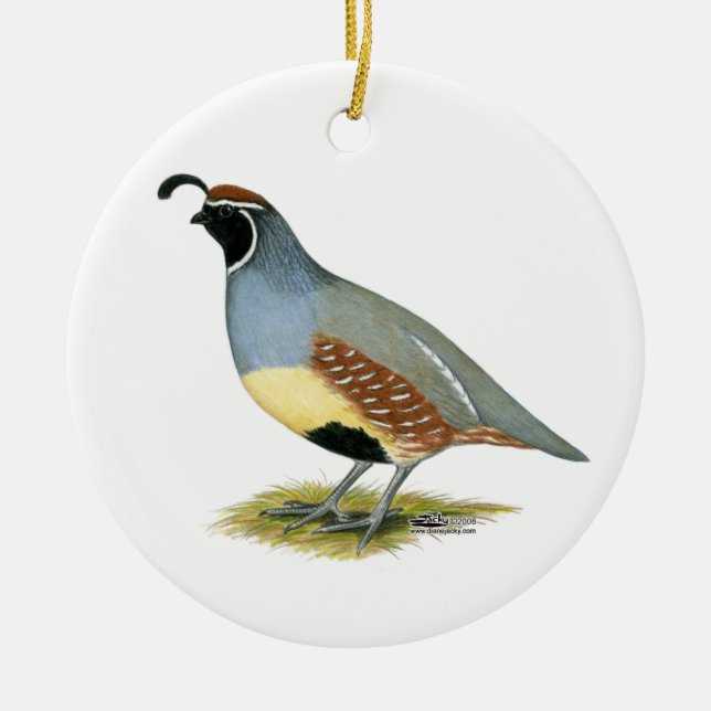 Gambel's Desert Quail Ceramic Tree Decoration (Front)