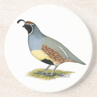 Gambel's Desert Quail Coaster
