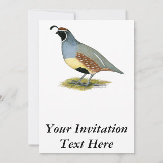 Gambel's Desert Quail Invitation
