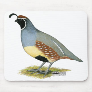 Gambel's Desert Quail Mouse Pad