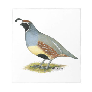 Gambel's Desert Quail Notepad