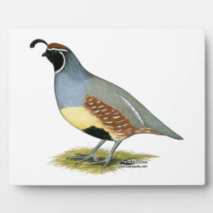 Gambel's Desert Quail Plaque