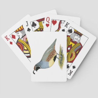 Gambel's Desert Quail Playing Cards