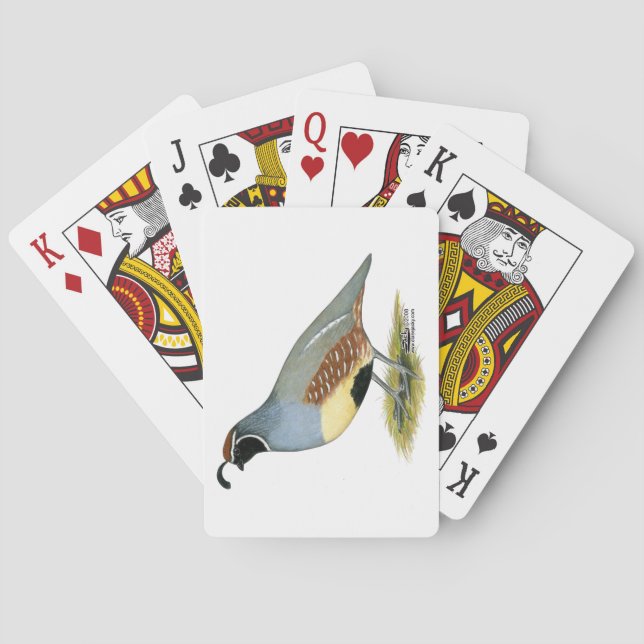 Gambel's Desert Quail Playing Cards (Back)