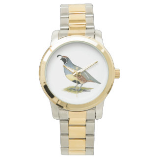 Gambel's Desert Quail Watch