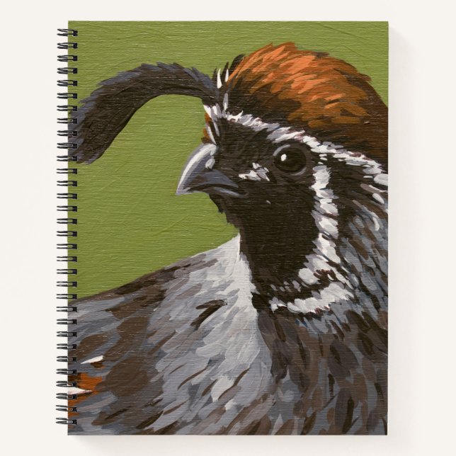 Gambel's Quail Notebook (Front)