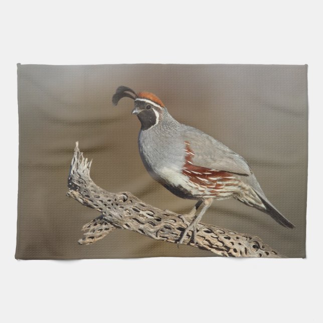 Gambel's Quail Tea Towel (Horizontal)