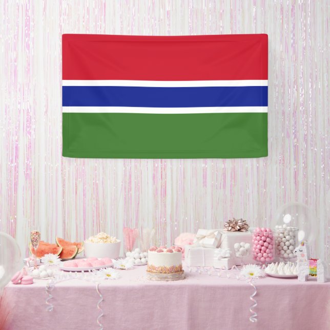 Gambia flag banner (Party)