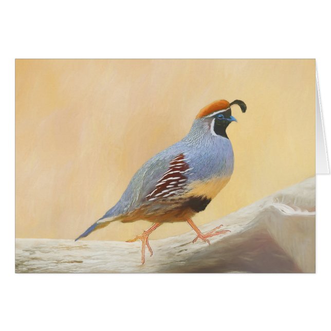 Gambrel's Quail Painting Original Bird Art (Front Horizontal)