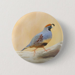 Gambrel's Quail Painting Original Bird Art 6 Cm Round Badge
