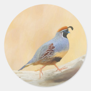 Gambrel's Quail Painting Original Bird Art Classic Round Sticker
