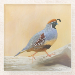 Gambrel's Quail Painting Original Bird Art Glass Coaster