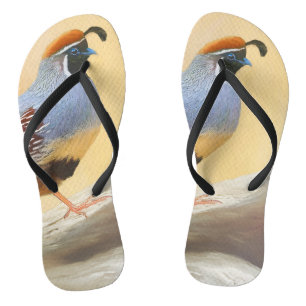 Gambrel's Quail Painting Original Bird Art Jandals