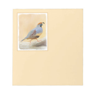 Gambrel's Quail Painting Original Bird Art Notepad