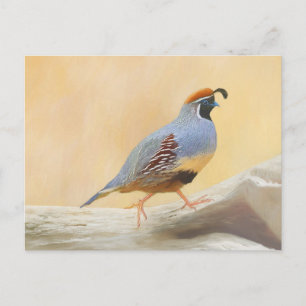 Gambrel's Quail Painting Original Bird Art Postcard