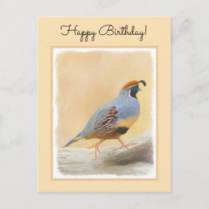 Gambrel's Quail Painting Original Bird Art Postcard