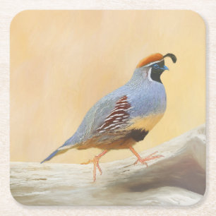 Gambrel's Quail Painting Original Bird Art Square Paper Coaster