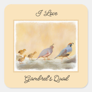 Gambrel's Quail Painting Original Bird Art Square Sticker