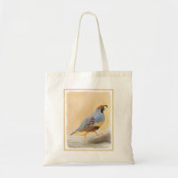 Gambrel's Quail Painting Original Bird Art
