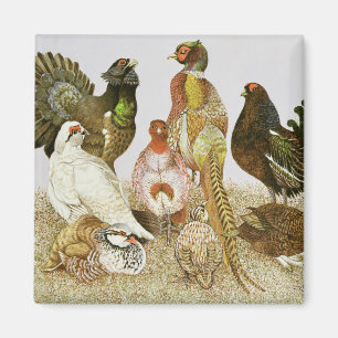 Game Birds Magnet