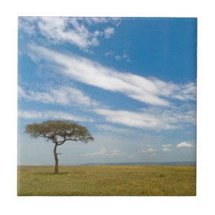Game drive vehicle on open African plains Tile
