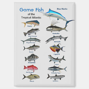 Game fish of Tropical Atlantic Ocean Magnet