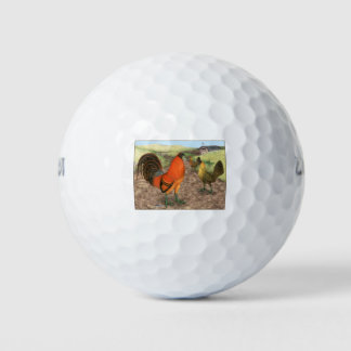 Game Fowl on the Farm Golf Balls