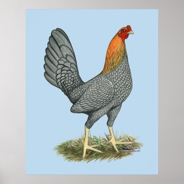Game Hen Blue Red Poster (Front)