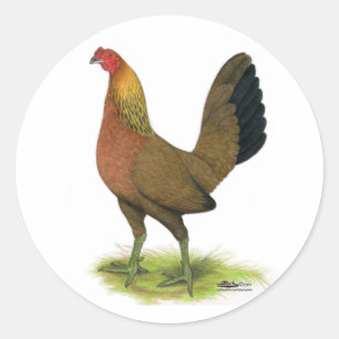 Game Hen:  Pea-combed Classic Round Sticker