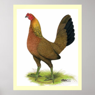 Game Hen: Pea-combed Poster