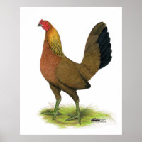 Game Hen: Pea-combed