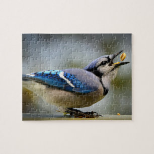 Game Puzzle Blue Jay