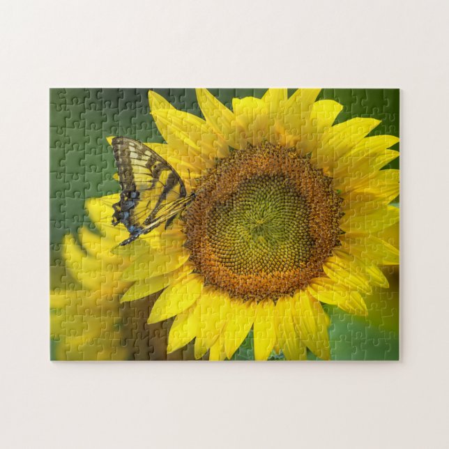 Game Puzzle-Butterfly Sunflowers Jigsaw Puzzle (Horizontal)