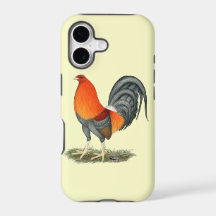 Gamecock Blue Red Rooster