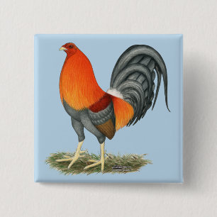 Gamecock Blue Red Rooster 15 Cm Square Badge
