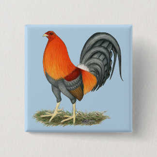 Gamecock Blue Red Rooster 15 Cm Square Badge