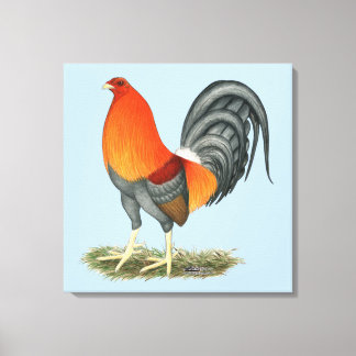 Gamecock Blue Red Rooster Canvas Print