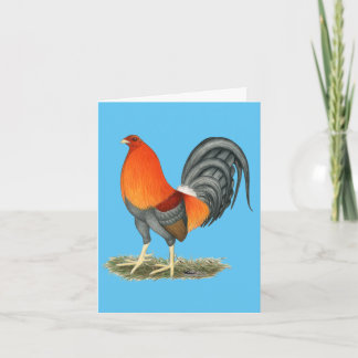 Gamecock Blue Red Rooster Holiday Card