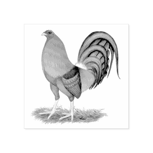 Gamecock Blue Red Rooster Rubber Stamp (Imprint)