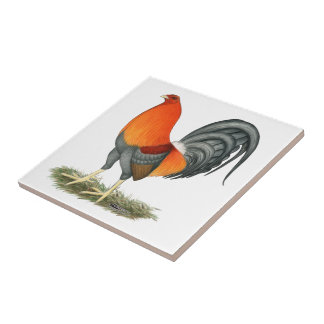 Gamecock Blue Red Rooster Tile