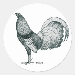 Gamecock Crele or Dom Classic Round Sticker