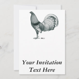 Gamecock Crele or Dom Invitation