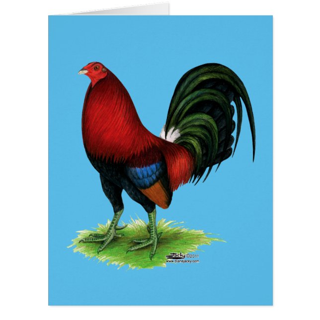 Gamecock:  Dark Red (Front)